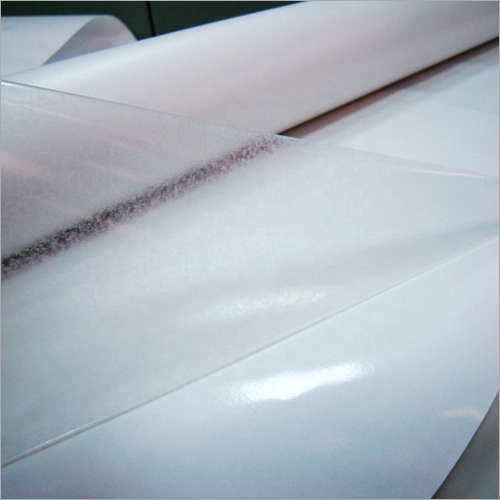 Polyolefin Based Hot Melt Adhesive Film