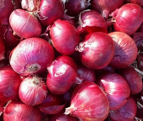 Fresh Onion - Raw, Round Shape | Fresh, Natural Flavor, Ideal for Culinary Use
