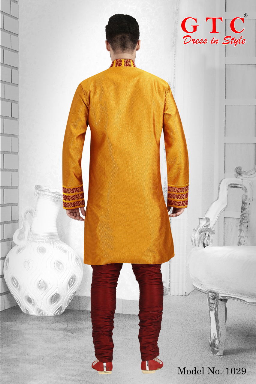 1029 Designer Kurta