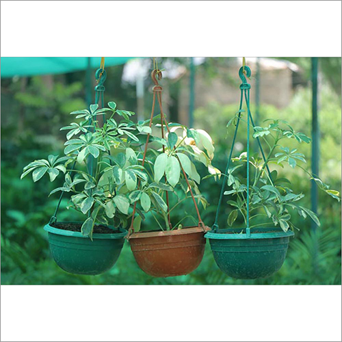 6 इंच का प्लास्टिक लटकता गमला