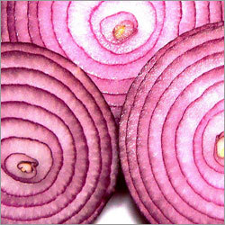 लाल प्याज