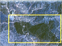 Mining Lease