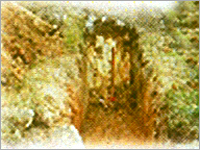 Pitting & Trenching
