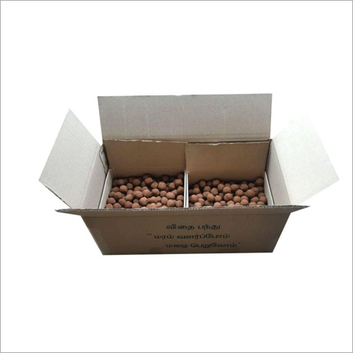 Common Tree Bulk Seed Ball