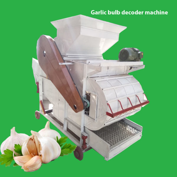 Garlic Bulb Decoder Machine - Stainless Steel, 8ft X 4ft X 8ft | 100-300 Kg Capacity, Eco-friendly, Low Noise, Low Energy Consumption