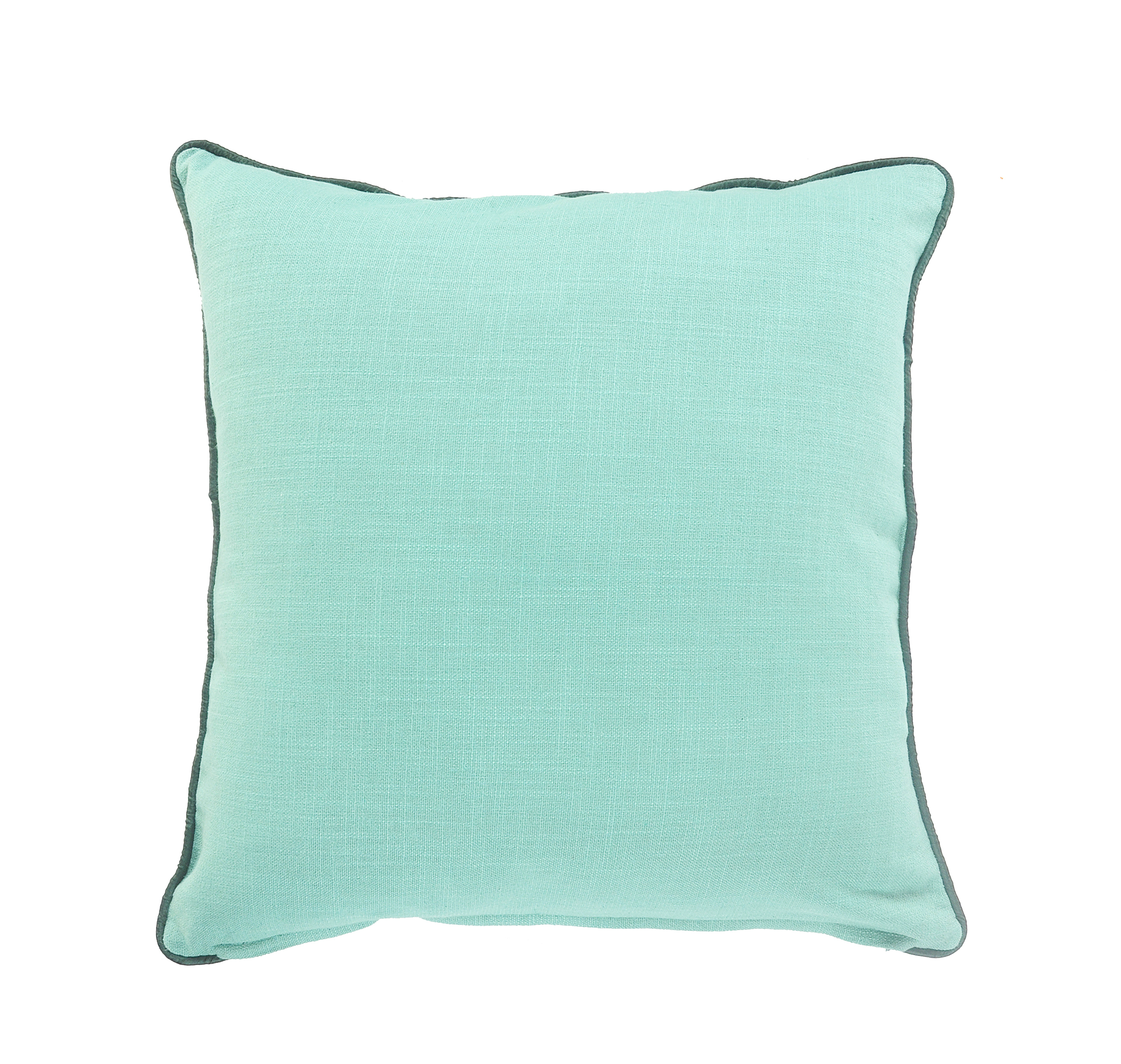 Light Green Cushion