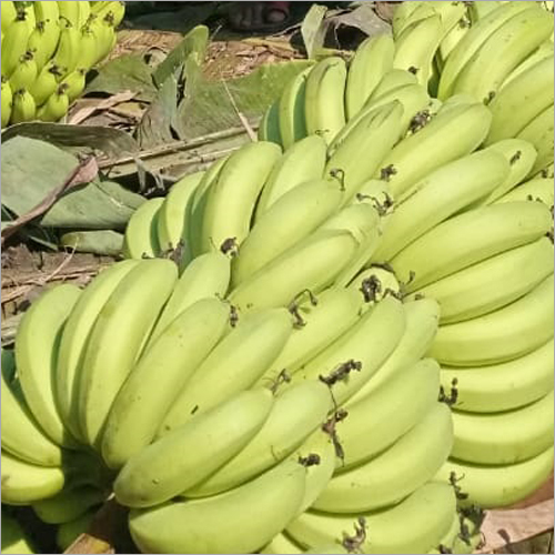 ताज़ी हरी केला