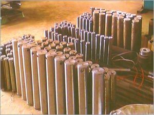 वसंत पिंस