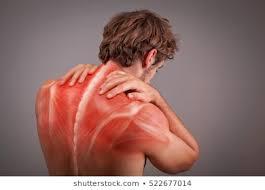 Join Pain Oil Age Group: All Age Group