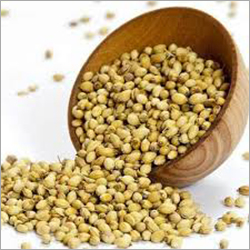 Coriander Seeds - 99% Purity, 7-8% Moisture | Common Cultivation, 6 Months Shelf Life, Weight As Per Order Kilograms