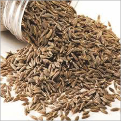 Coriander Seeds - Premium Quality, 99% Purity | Common Cultivation, 6 Month Shelf Life