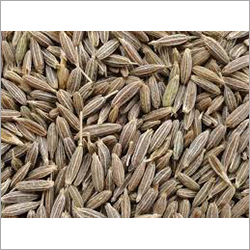 Coriander Seeds - Premium Quality, 99% Purity | Common Cultivation, 6 Month Shelf Life