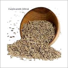 Coriander Seeds - Premium Quality, 99% Purity | Common Cultivation, 6 Month Shelf Life