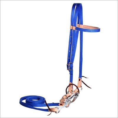 Bridle
