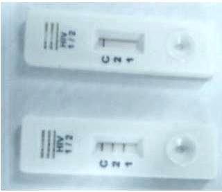 Rapid Hiv Tri Line Test Card Shelf Life: 24 Months From Manufacturing Months