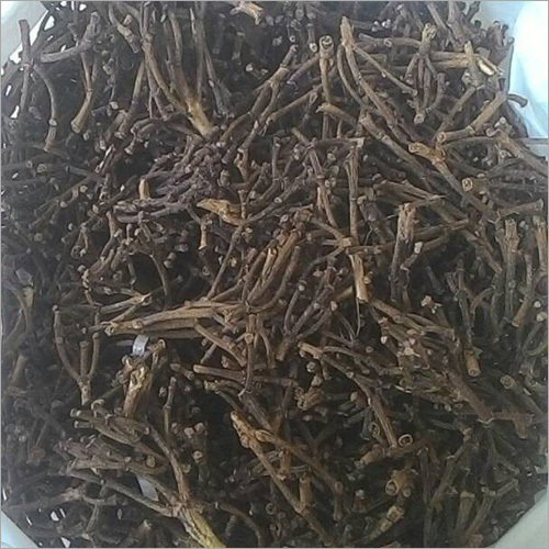 Clove Stick Grade: Spice