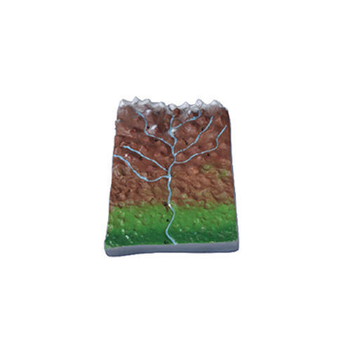 Transporting River System Model