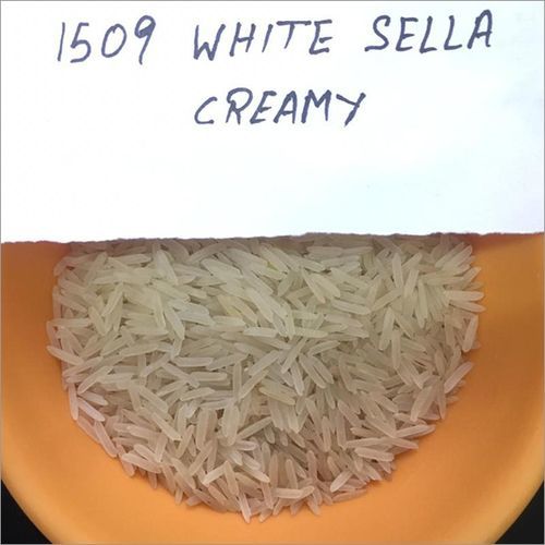 1509 White Sella Creamy Rice
