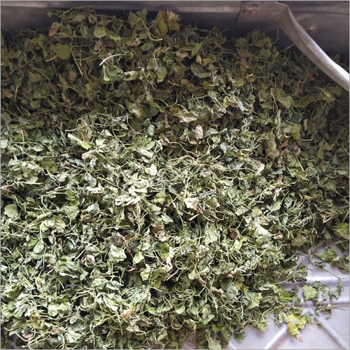 Good Quality Dried Fenugreek Leaf - 1 Year Shelf Life, Stored In Dry Place, Customized Weight (Kg) | Trusted By Thousands Of Satisfied Customers