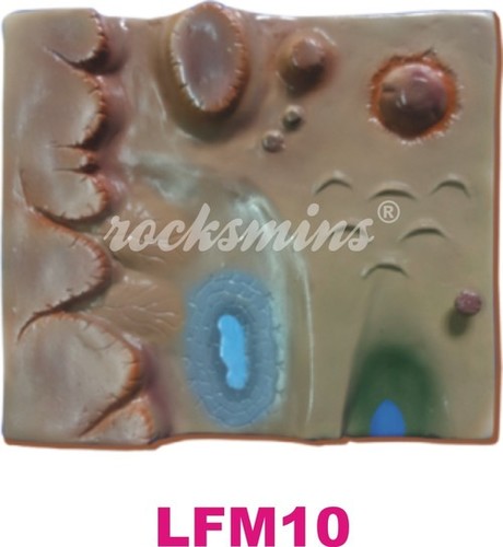 डेजर्ट फॉर्मेशन बी मॉडल