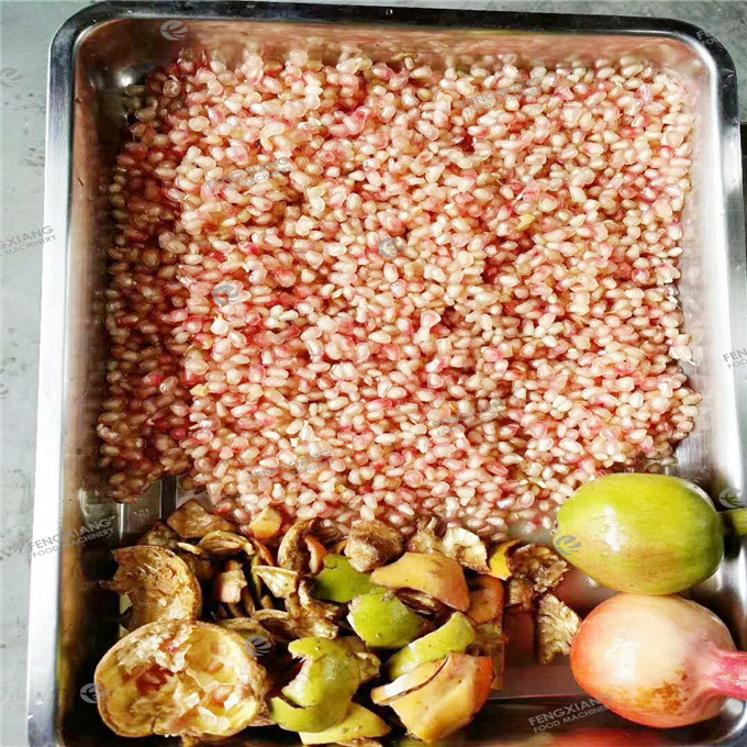 Industrial Automatic Pomegranate Seed Separating Machine Passion Fruit Seeding Pulping Machine