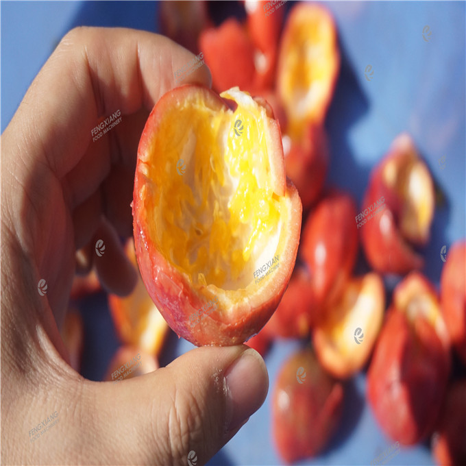 Industrial Automatic Pomegranate Seed Separating Machine Passion Fruit Seeding Pulping Machine