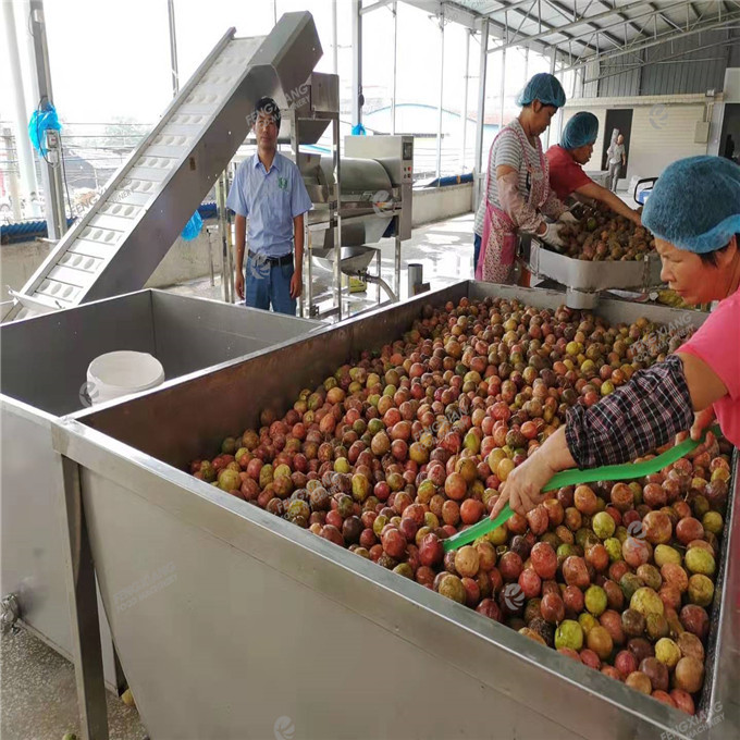 Industrial Automatic Pomegranate Seed Separating Machine Passion Fruit Seeding Pulping Machine