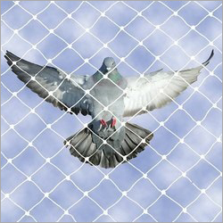 Anti Bird Protection Net - Hdpe Material, Hole Size 1.25x1.25 Inch, 0.8mm Thickness | Dust Proof, 3 Year Warranty, Square Hole Design