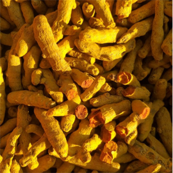 Turmeric Finger