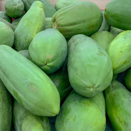  हरा पपीता