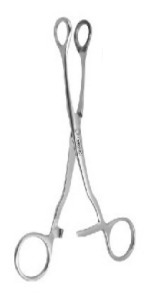 Tongue Holding Forceps - Stainless Steel, 120 mm Length, 10 mm Jaw Width, Polished Finish | Autoclavable, Lightweight at 50 g, Ideal for Medical Procedures