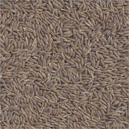 जैविक जीरा बीज