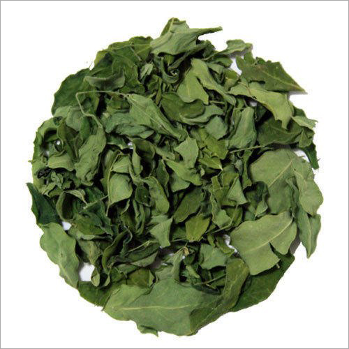 Moringa Oleifera Leaf Extract - Premium Quality Herbal Supplement | Promotes Hair Growth, Prevents Hair Loss, Nourishes Hair Follicles, Supports Healthy Hair Strands