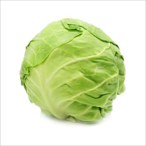 Fresh Cabbage Moisture (%): 2