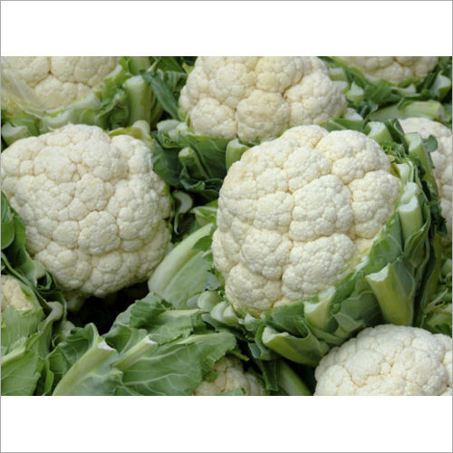 Fresh Cauliflower Moisture (%): 5