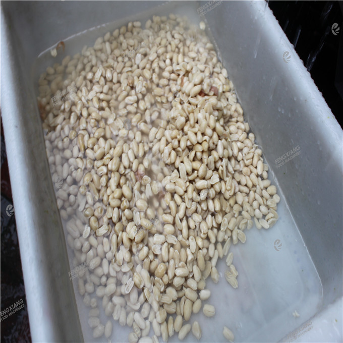 Fx-180 Peanut Skin Peeling Machine Almond Peeling Machine Capacity: 160-200 Kg/hr
