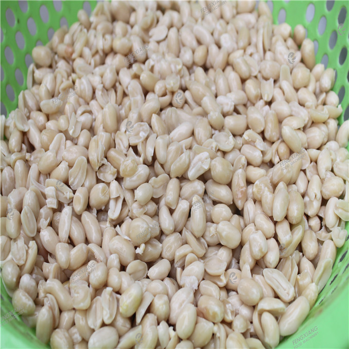 Fx-180 Peanut Skin Peeling Machine Almond Peeling Machine Capacity: 160-200 Kg/hr