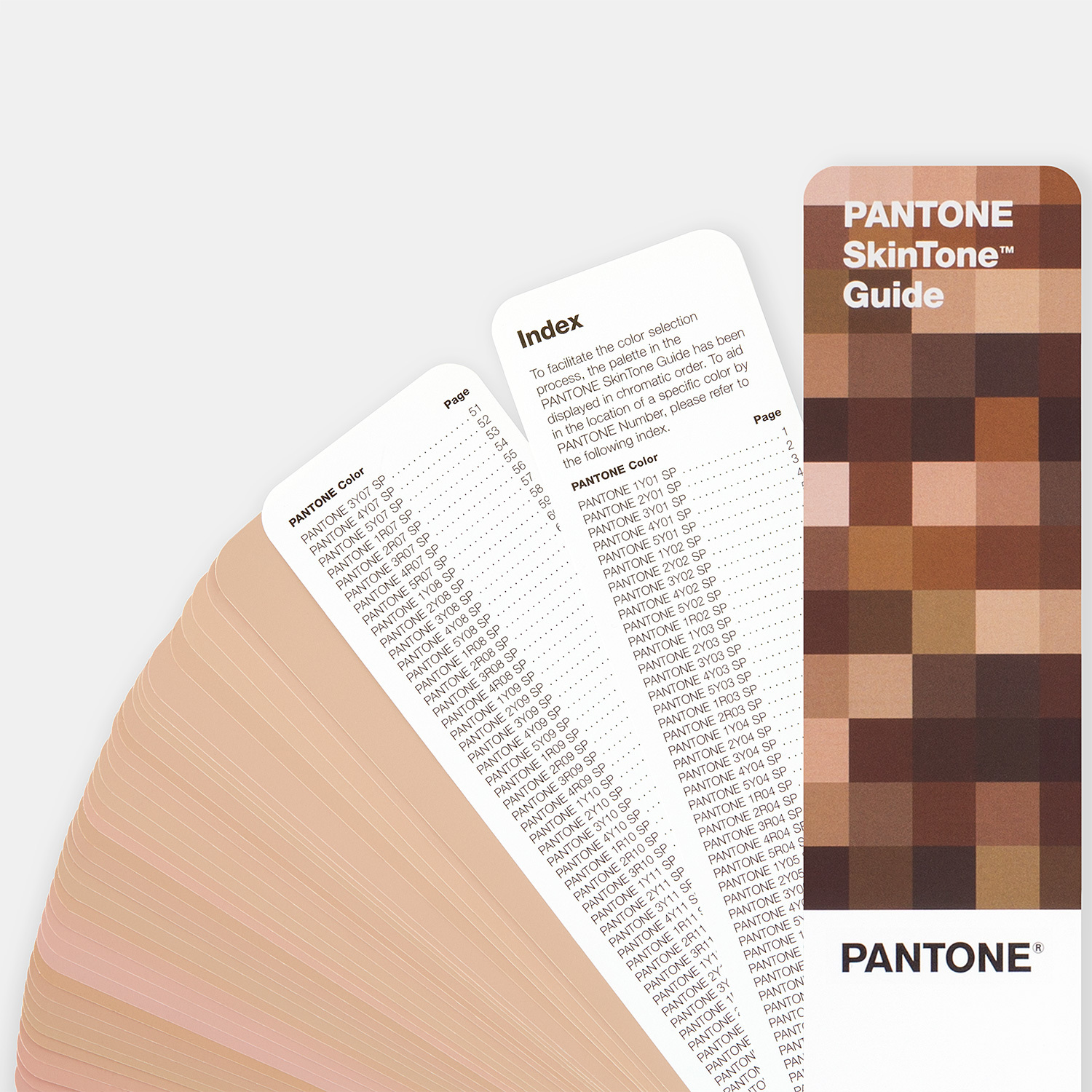 Pantone Skintone Guide