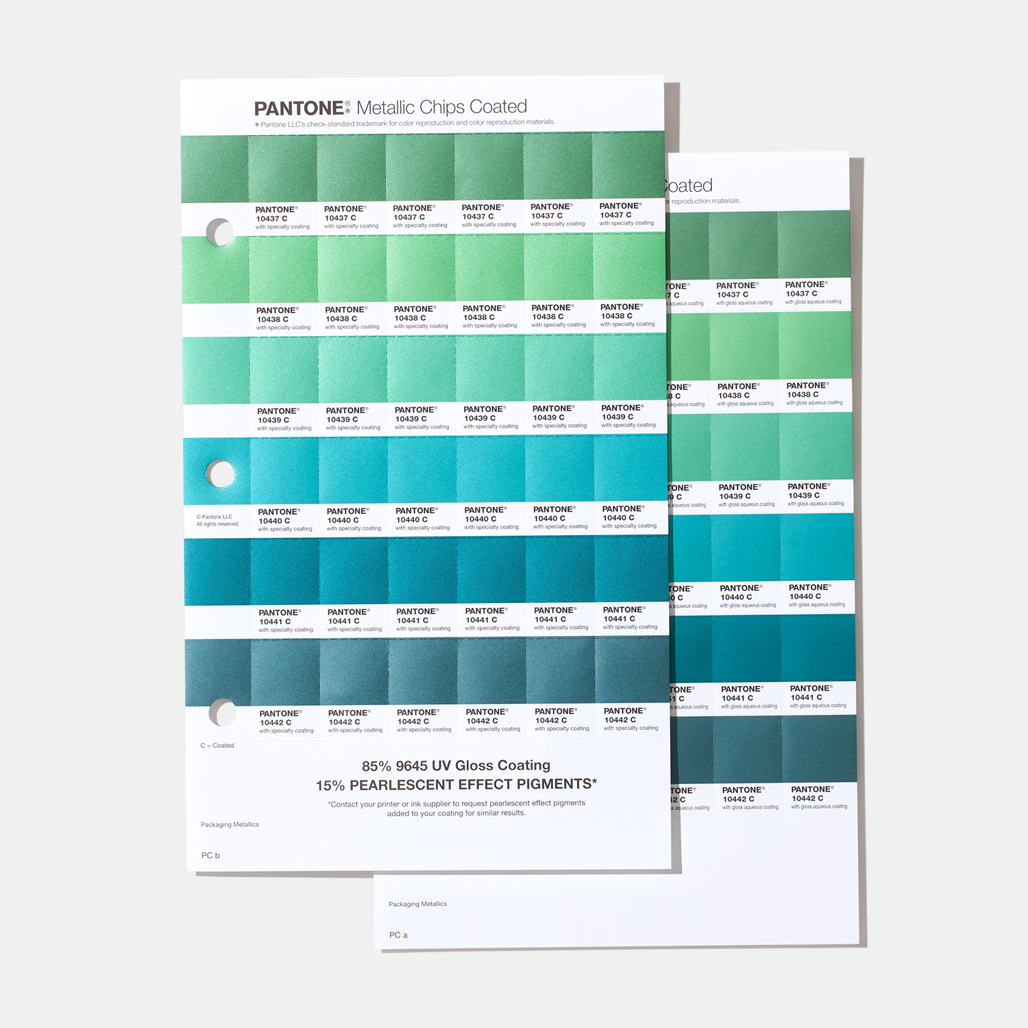 Metallic Chips Book