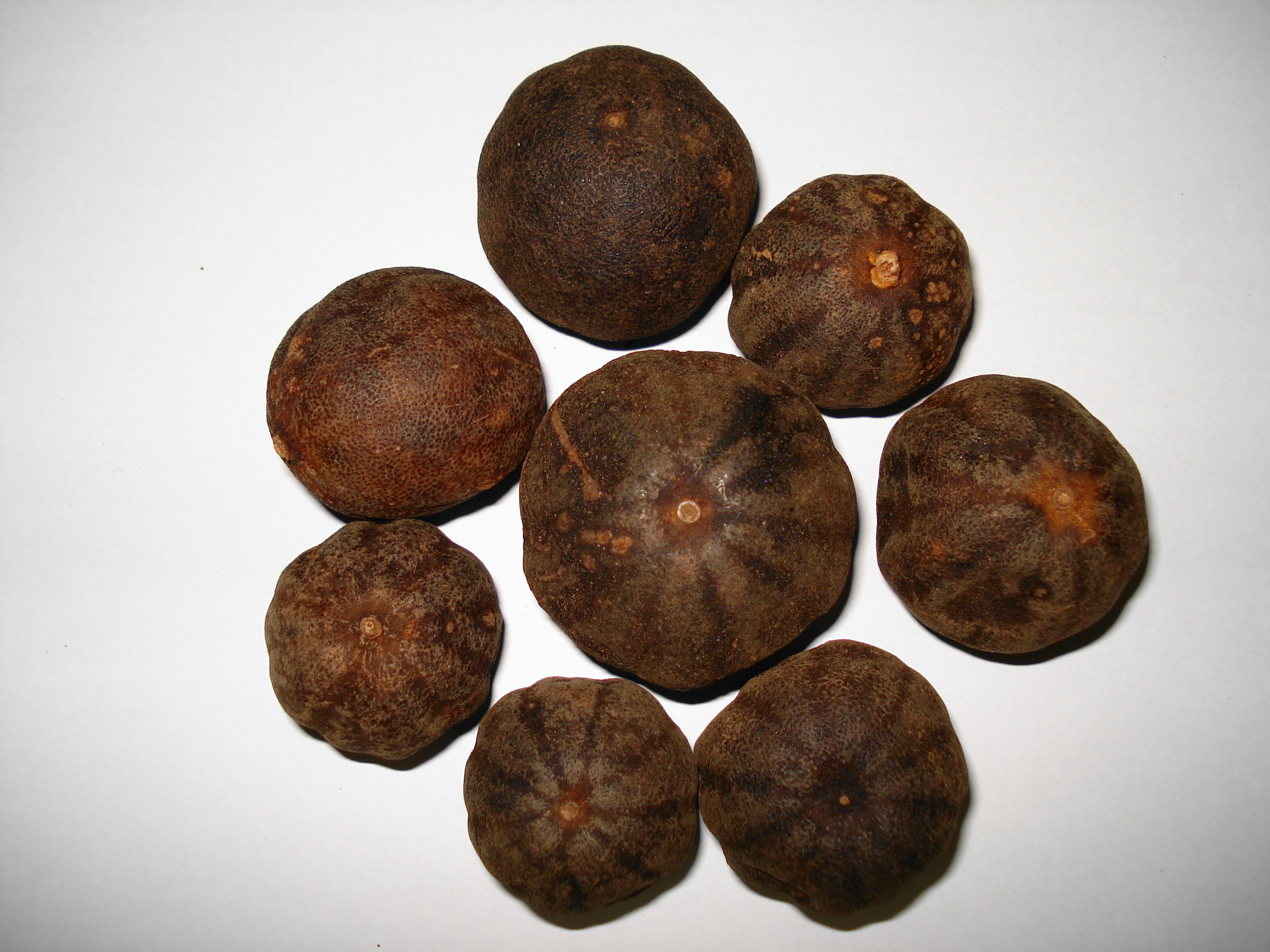 Herbal Product Black Dry Lemon Manufacturer Exporter India