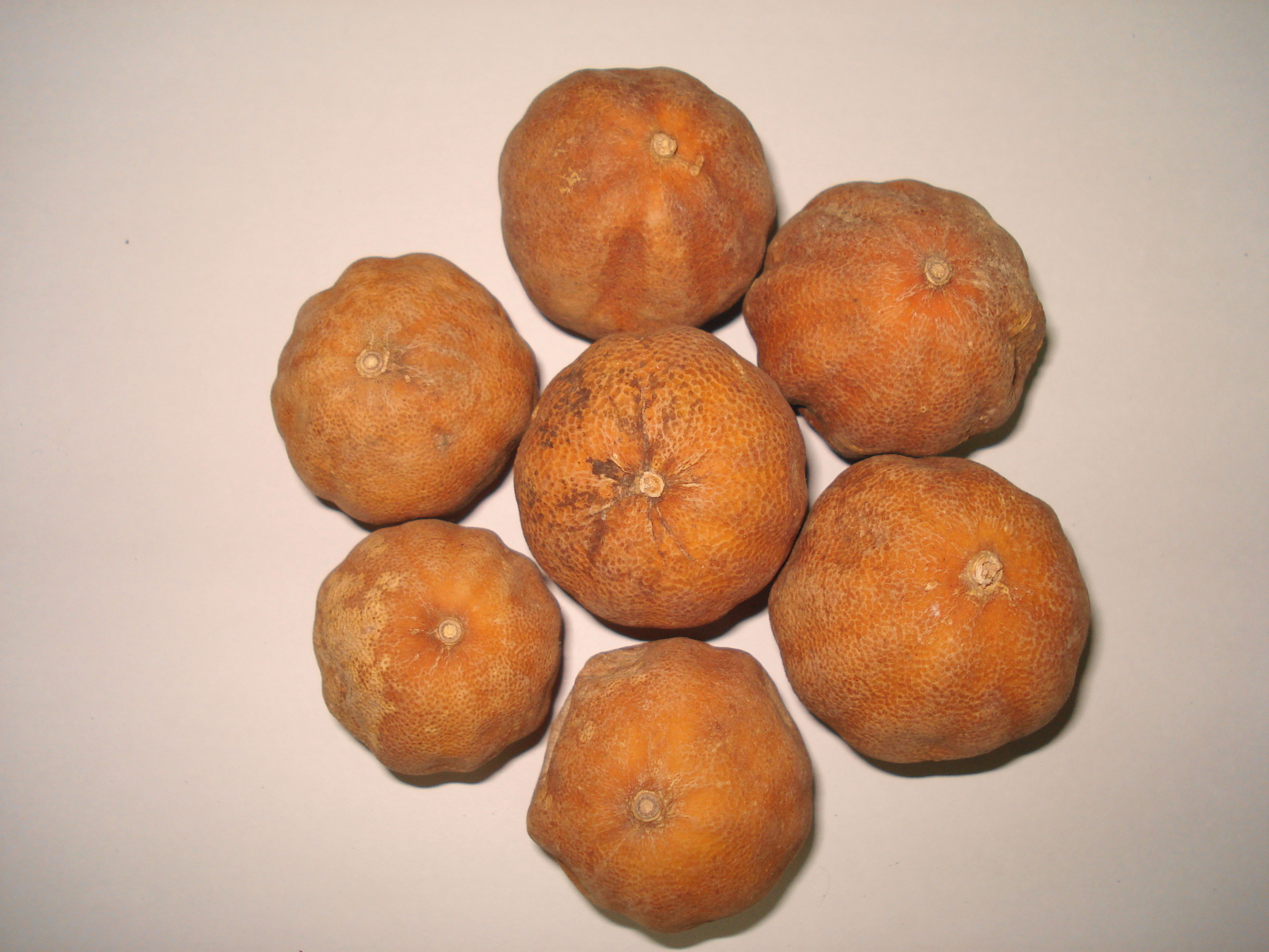 Yellow Dry Lemon Grade: Export Quality
