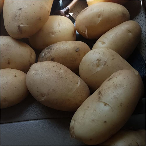 Fresh Potato - Natural Shape, 7-10 Days Shelf Life | Versatile Low-calorie Vegetable, Ideal For Various Cooking Methods