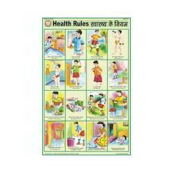 Health & Hygine charts