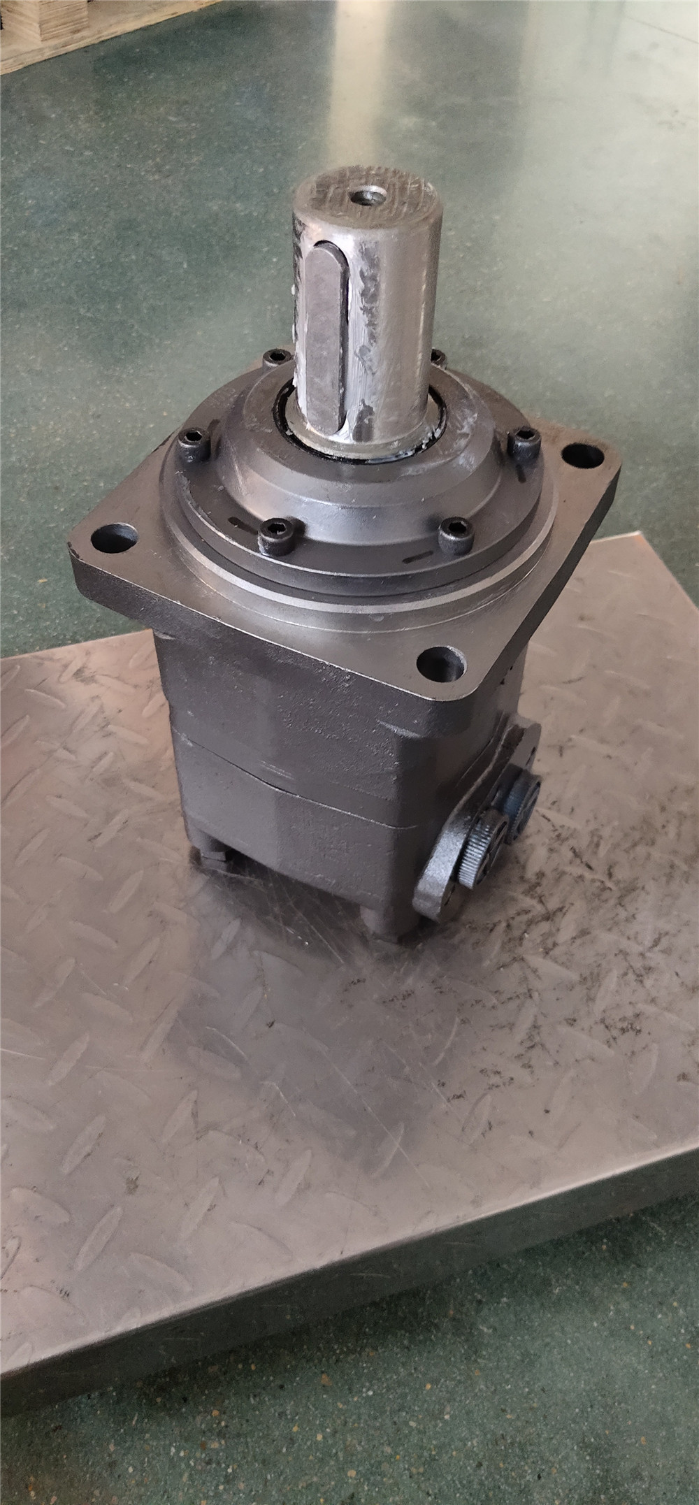 Bmv Gear Motor - High Pressure, Mechanical Seal | Advanced Geroler Gear Set, Tapered Roller Bearings, Smooth Operation