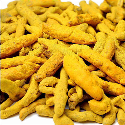 Fresh Turmeric Finger - Rhizome Powder Yellow Color Finger-like Shape Various Sizes Bulk Packaging | Ideal For Beverages Dairy Baked Products And Sauces
