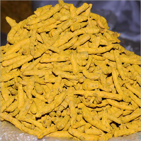 Fresh Turmeric Finger - Rhizome Powder Yellow Color Finger-like Shape Various Sizes Bulk Packaging | Ideal For Beverages Dairy Baked Products And Sauces