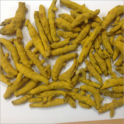 Fresh Turmeric Finger - Rhizome Powder Yellow Color Finger-like Shape Various Sizes Bulk Packaging | Ideal For Beverages Dairy Baked Products And Sauces