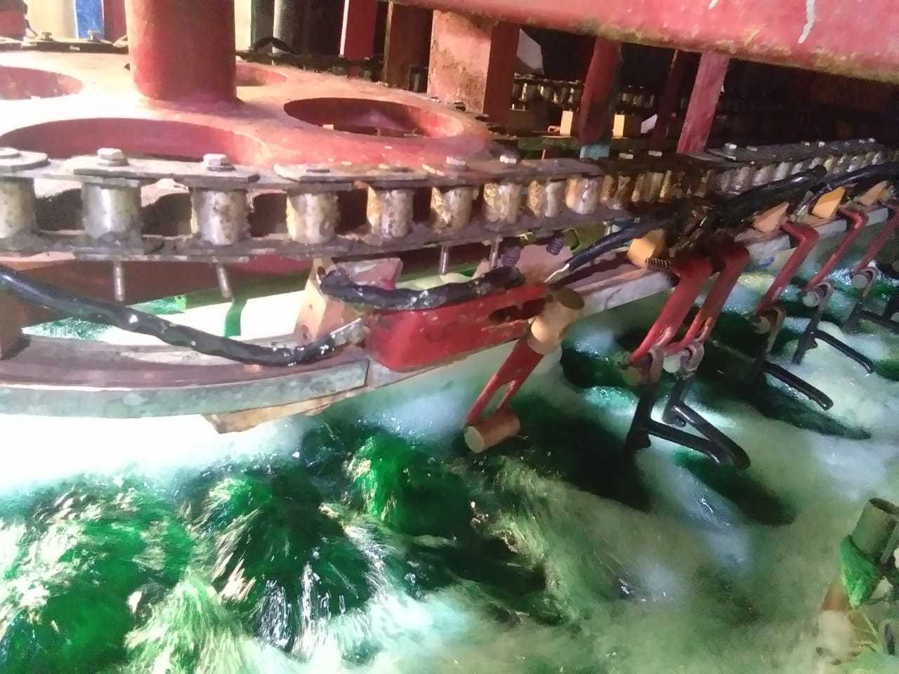 Rotomatic Plant