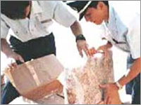 कस्टम क्लीयरेंस