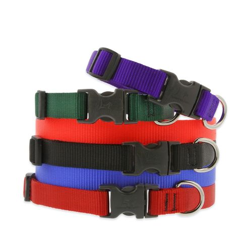 Dog Collar Nylon Webbing - Nylon Material, Adjustable Size, Multicolor Design | Flexible and Strong for Ultimate Control and Comfort